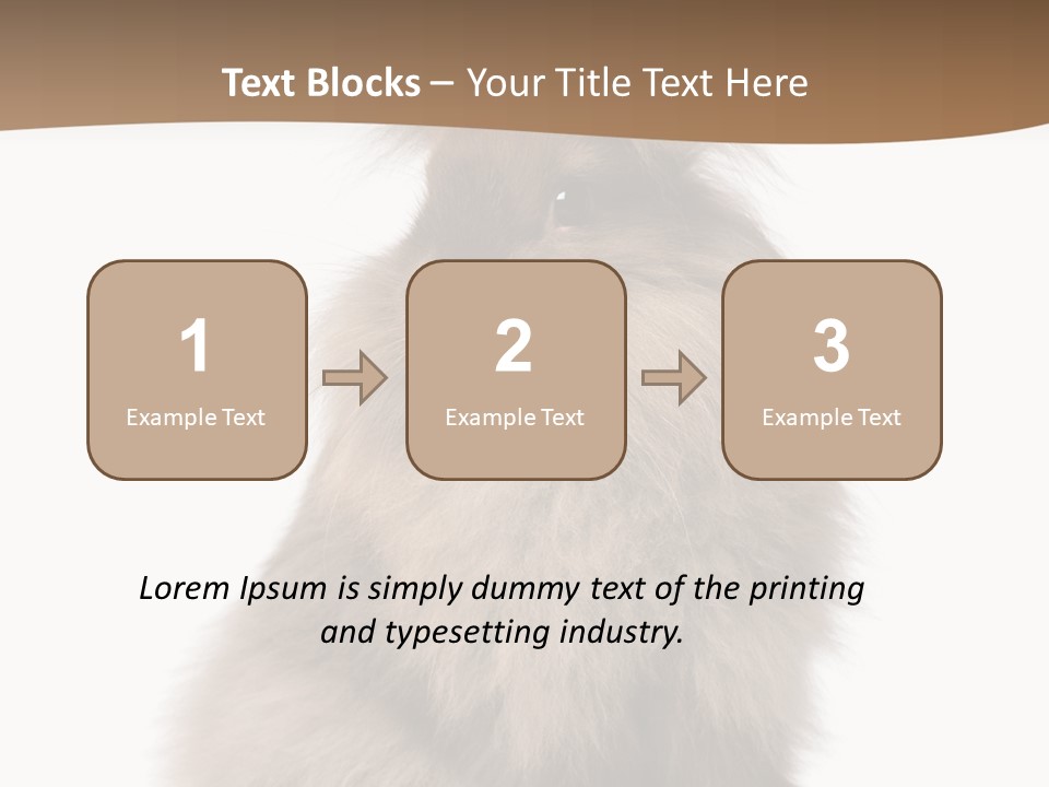 Purebred Rabbit Fur PowerPoint Template