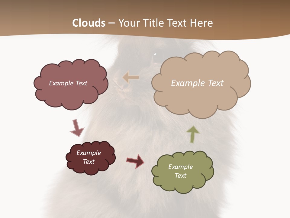 Purebred Rabbit Fur PowerPoint Template