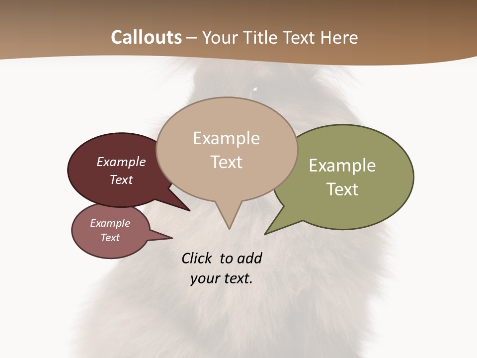 Purebred Rabbit Fur PowerPoint Template