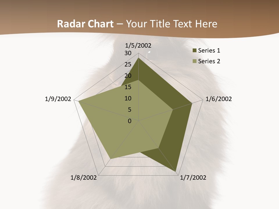 Purebred Rabbit Fur PowerPoint Template