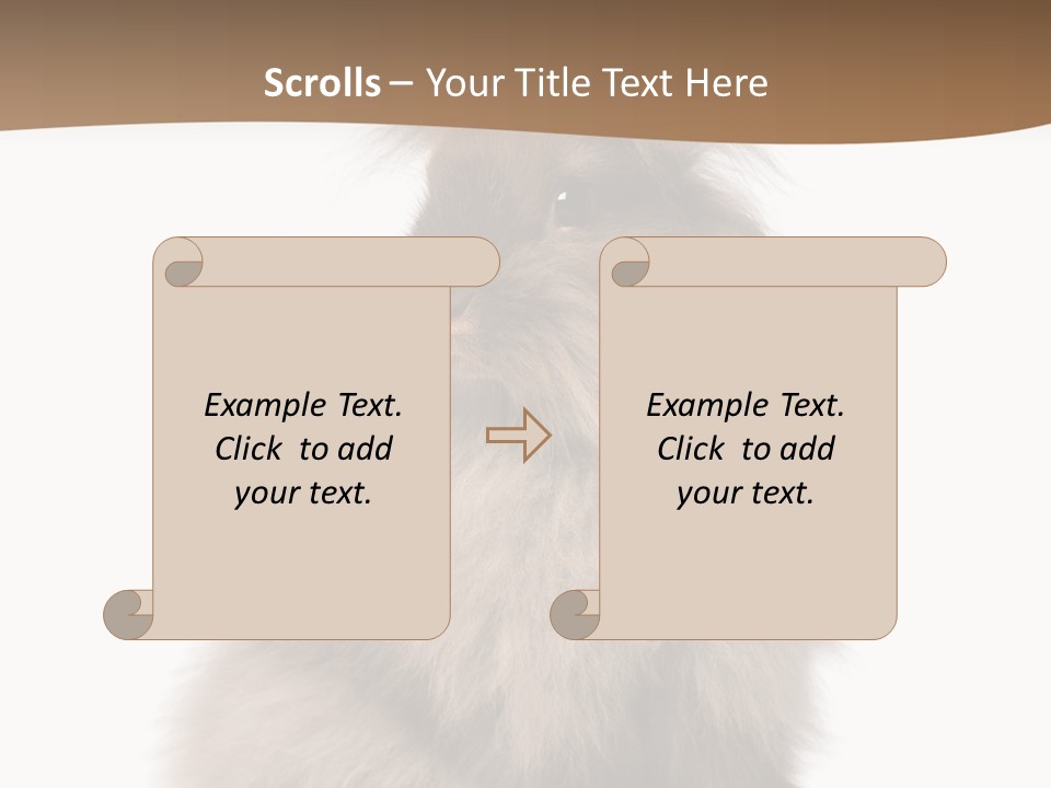 Purebred Rabbit Fur PowerPoint Template