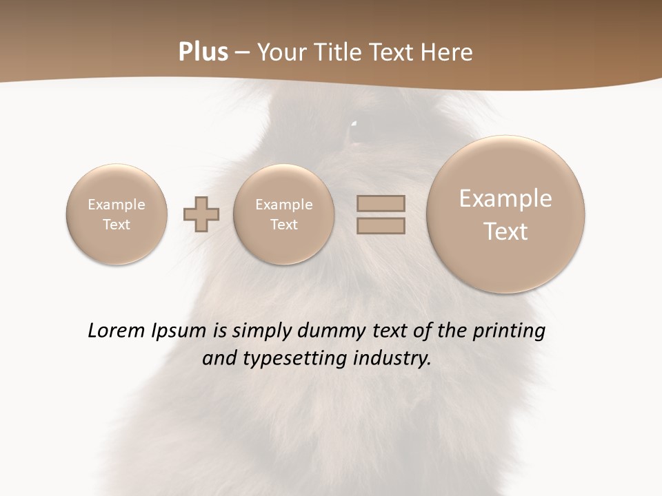 Purebred Rabbit Fur PowerPoint Template