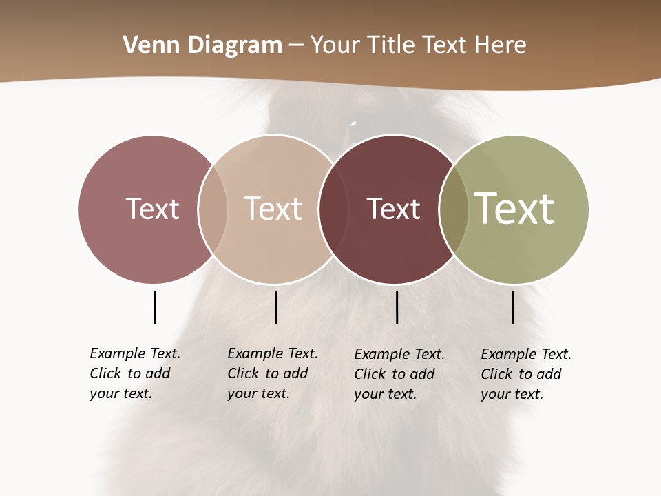 Purebred Rabbit Fur PowerPoint Template