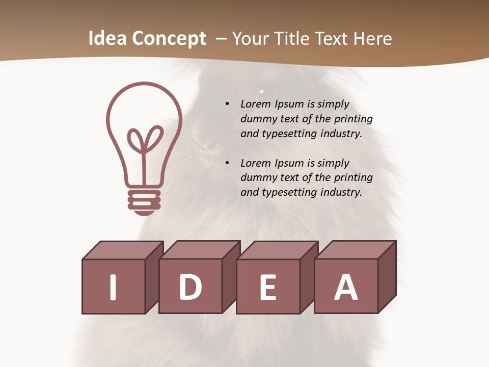Purebred Rabbit Fur PowerPoint Template