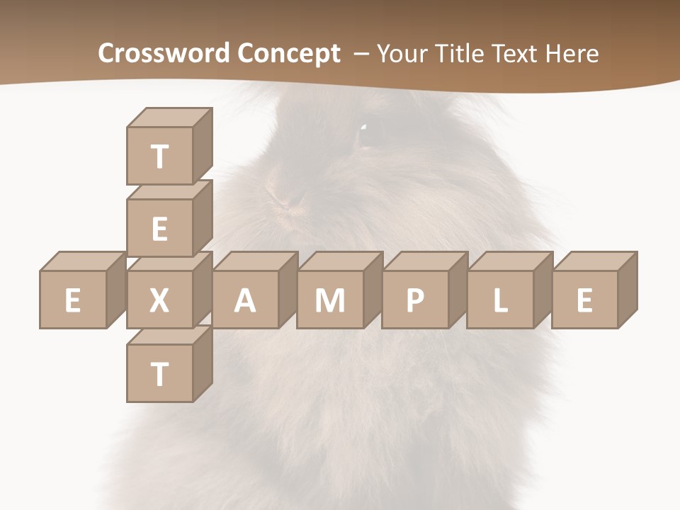 Purebred Rabbit Fur PowerPoint Template