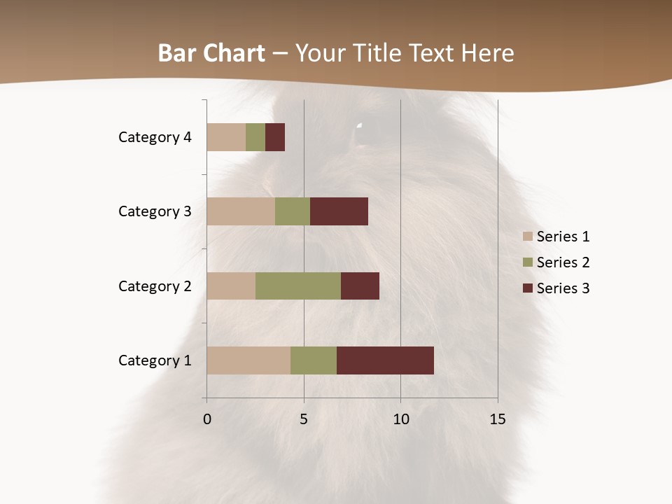Purebred Rabbit Fur PowerPoint Template