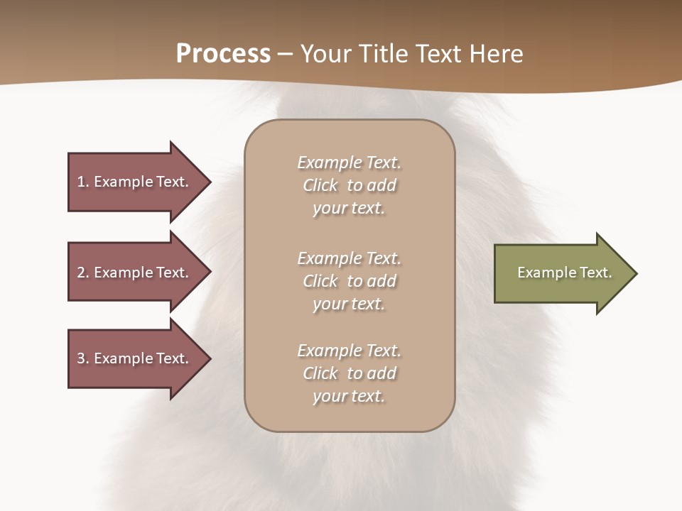 Purebred Rabbit Fur PowerPoint Template