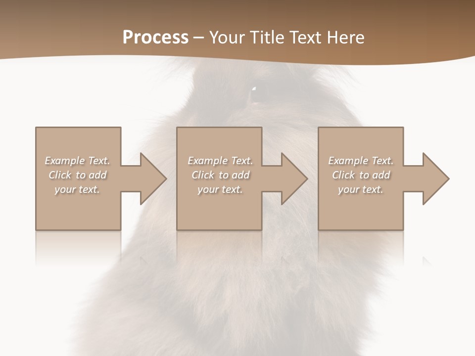Purebred Rabbit Fur PowerPoint Template