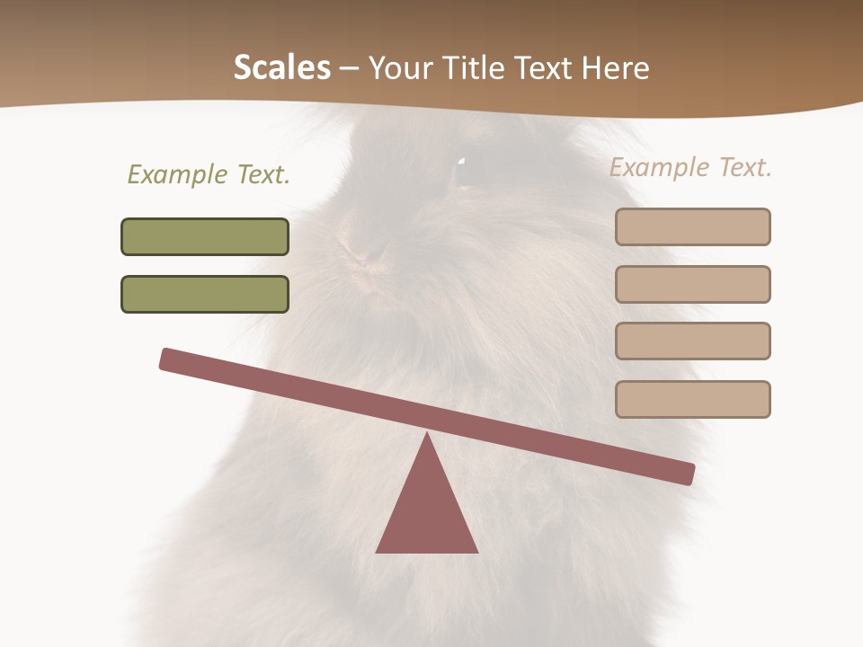 Purebred Rabbit Fur PowerPoint Template