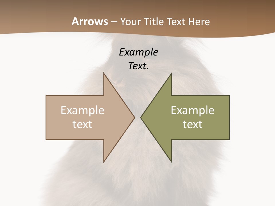 Purebred Rabbit Fur PowerPoint Template