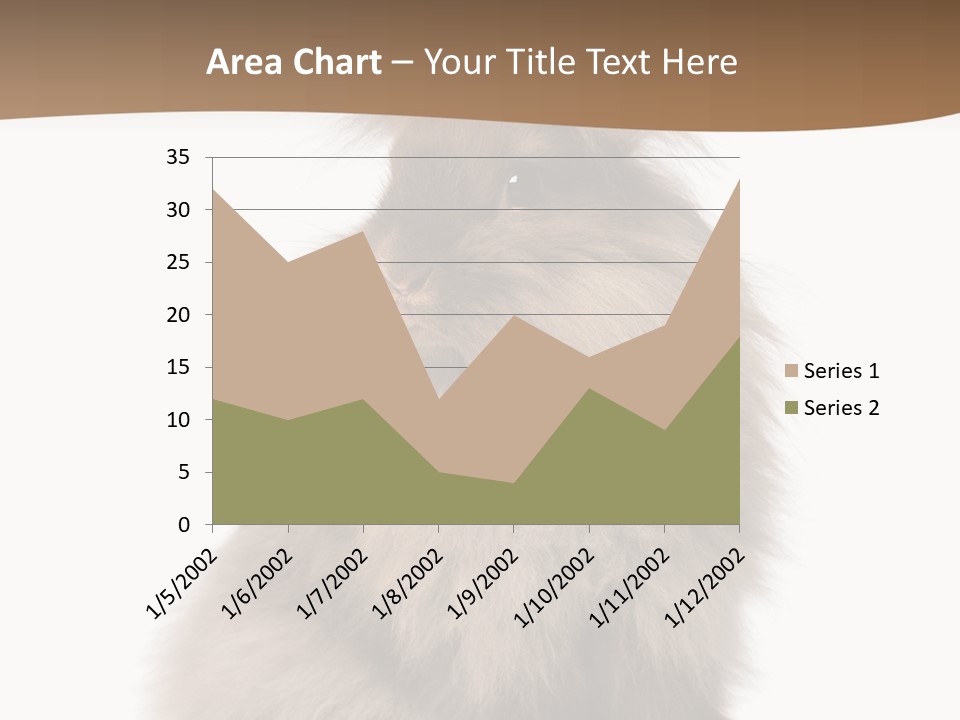Purebred Rabbit Fur PowerPoint Template