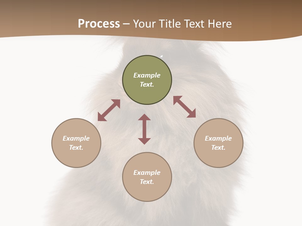 Purebred Rabbit Fur PowerPoint Template