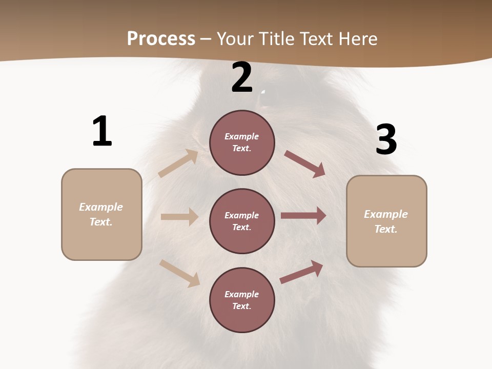 Purebred Rabbit Fur PowerPoint Template