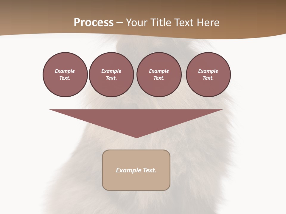 Purebred Rabbit Fur PowerPoint Template