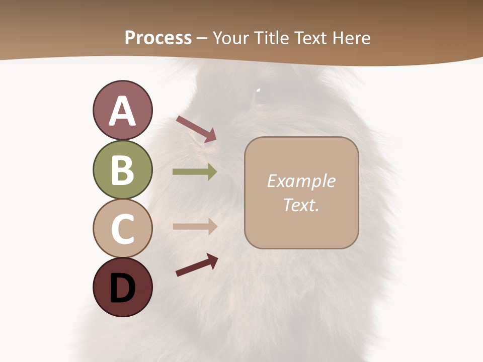 Purebred Rabbit Fur PowerPoint Template