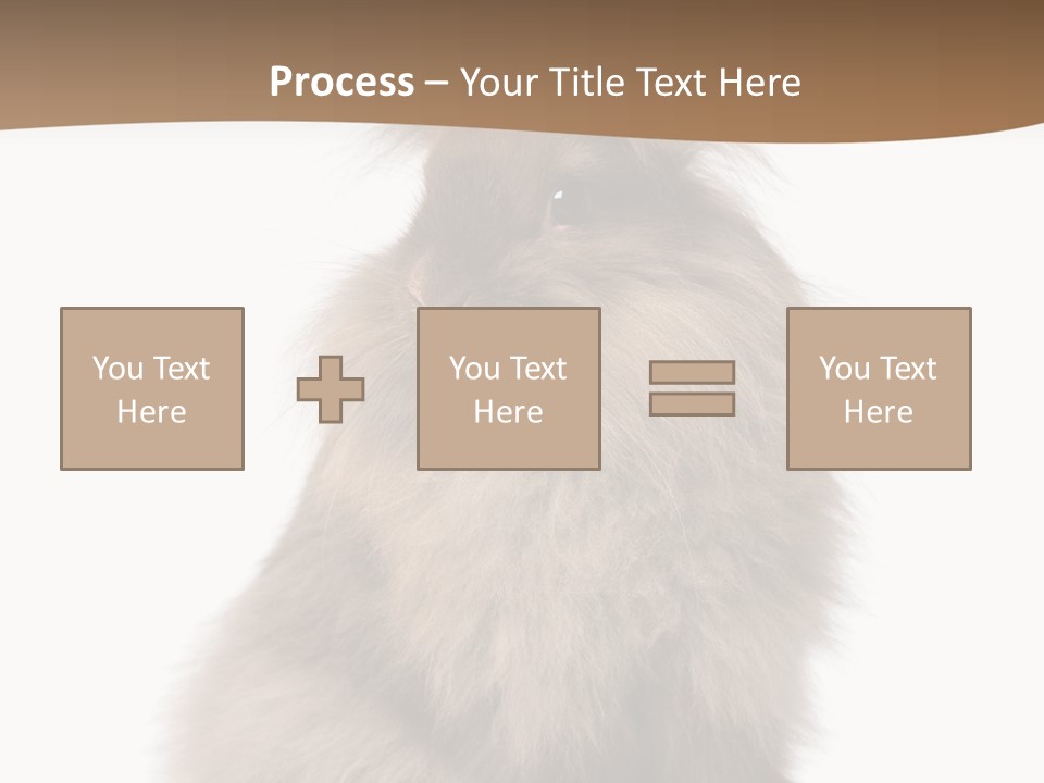 Purebred Rabbit Fur PowerPoint Template