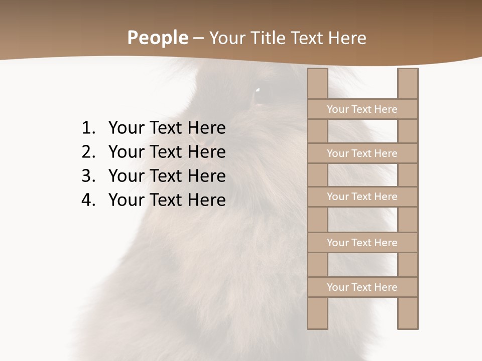Purebred Rabbit Fur PowerPoint Template
