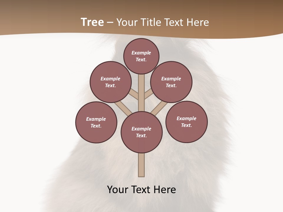 Purebred Rabbit Fur PowerPoint Template