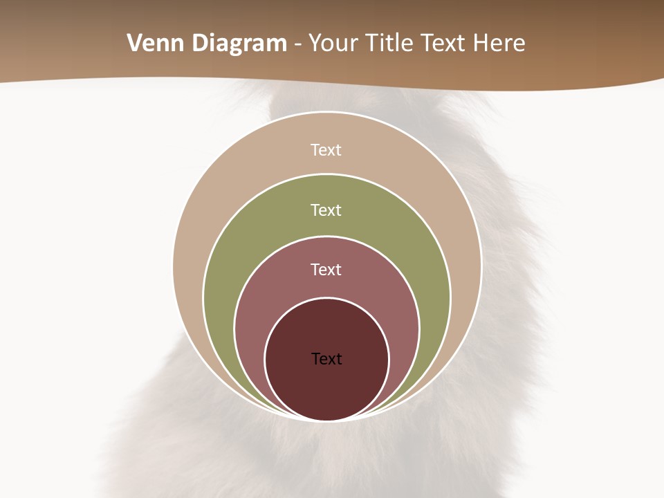 Purebred Rabbit Fur PowerPoint Template