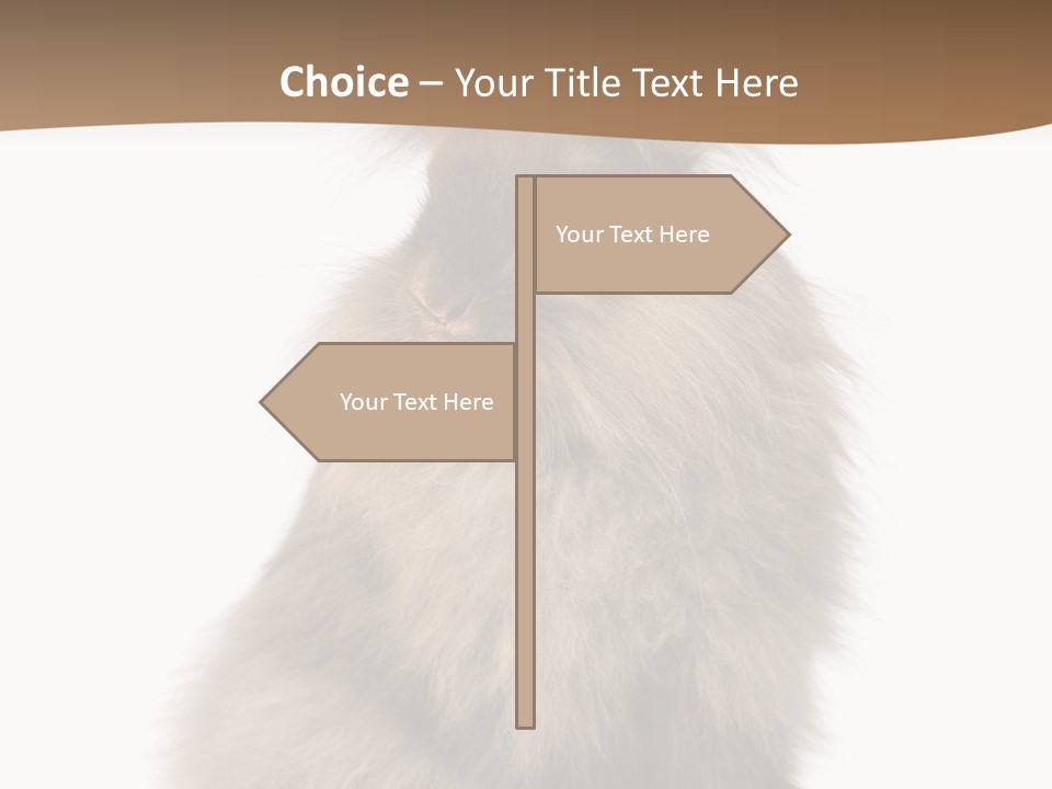 Purebred Rabbit Fur PowerPoint Template