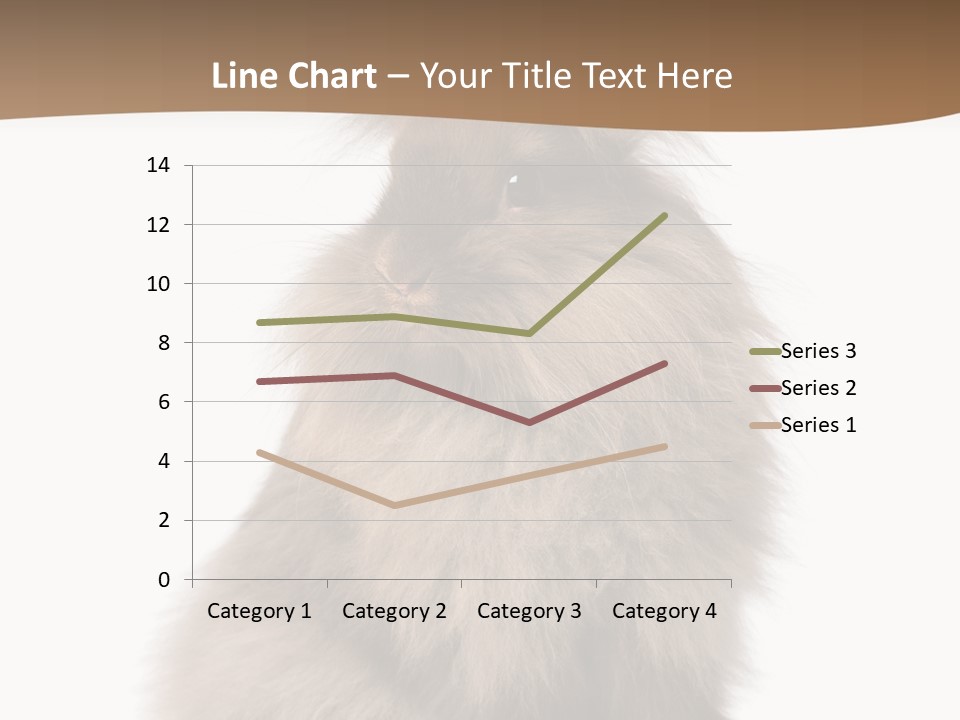 Purebred Rabbit Fur PowerPoint Template