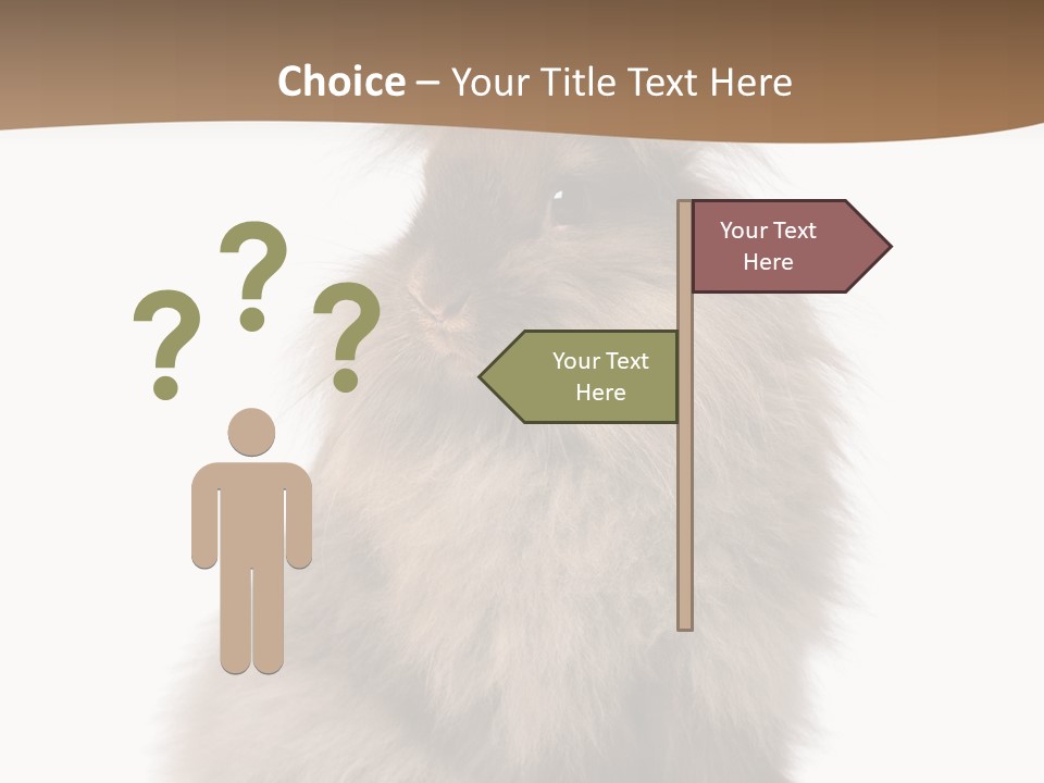 Purebred Rabbit Fur PowerPoint Template