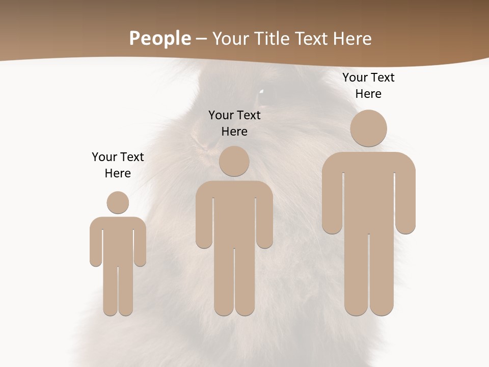 Purebred Rabbit Fur PowerPoint Template