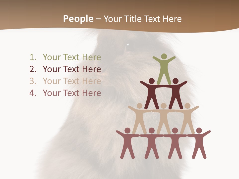 Purebred Rabbit Fur PowerPoint Template