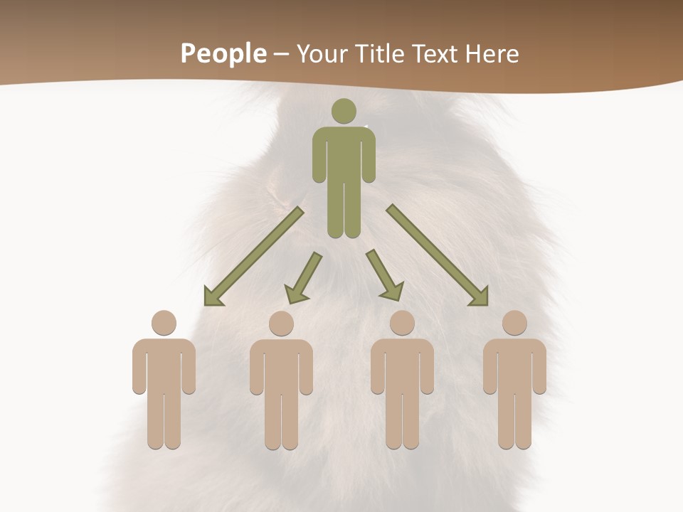 Purebred Rabbit Fur PowerPoint Template