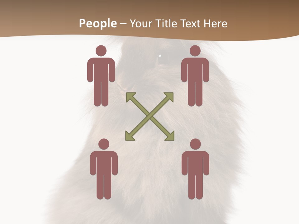 Purebred Rabbit Fur PowerPoint Template