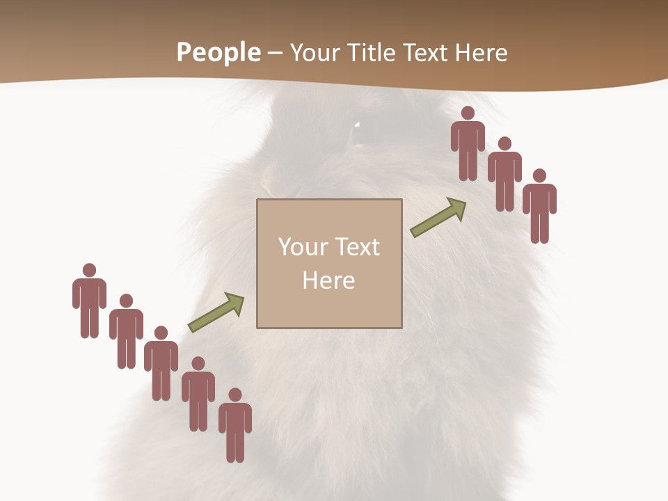 Purebred Rabbit Fur PowerPoint Template