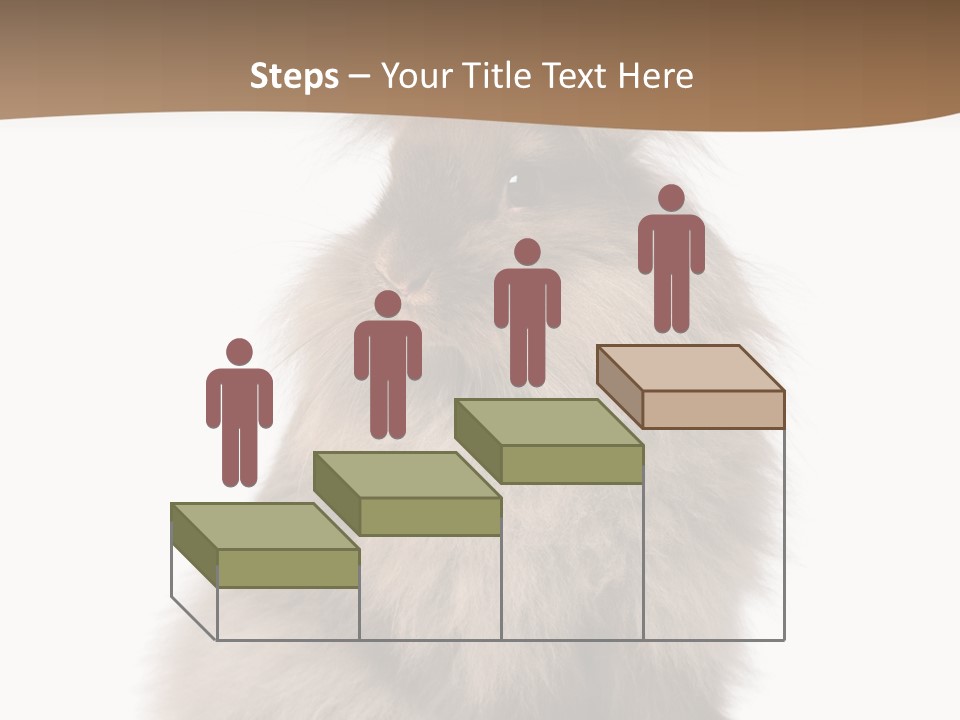 Purebred Rabbit Fur PowerPoint Template