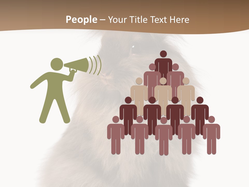 Purebred Rabbit Fur PowerPoint Template