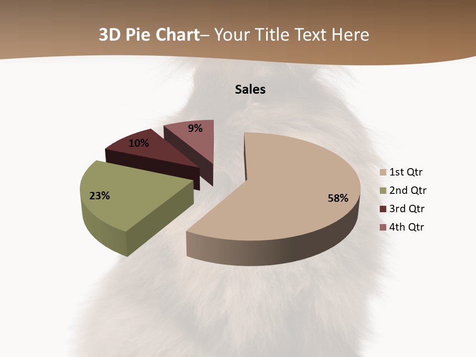 Purebred Rabbit Fur PowerPoint Template