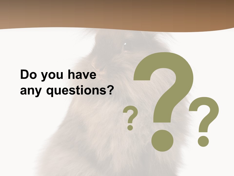 Purebred Rabbit Fur PowerPoint Template