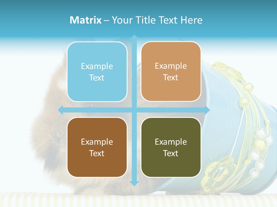 Schlappohren Portrait Studio PowerPoint Template