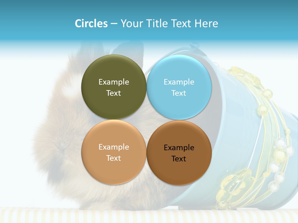 Schlappohren Portrait Studio PowerPoint Template