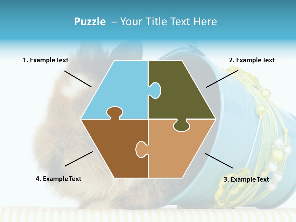 Schlappohren Portrait Studio PowerPoint Template