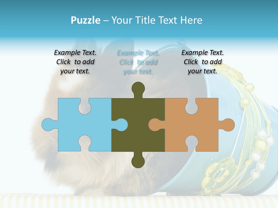 Schlappohren Portrait Studio PowerPoint Template