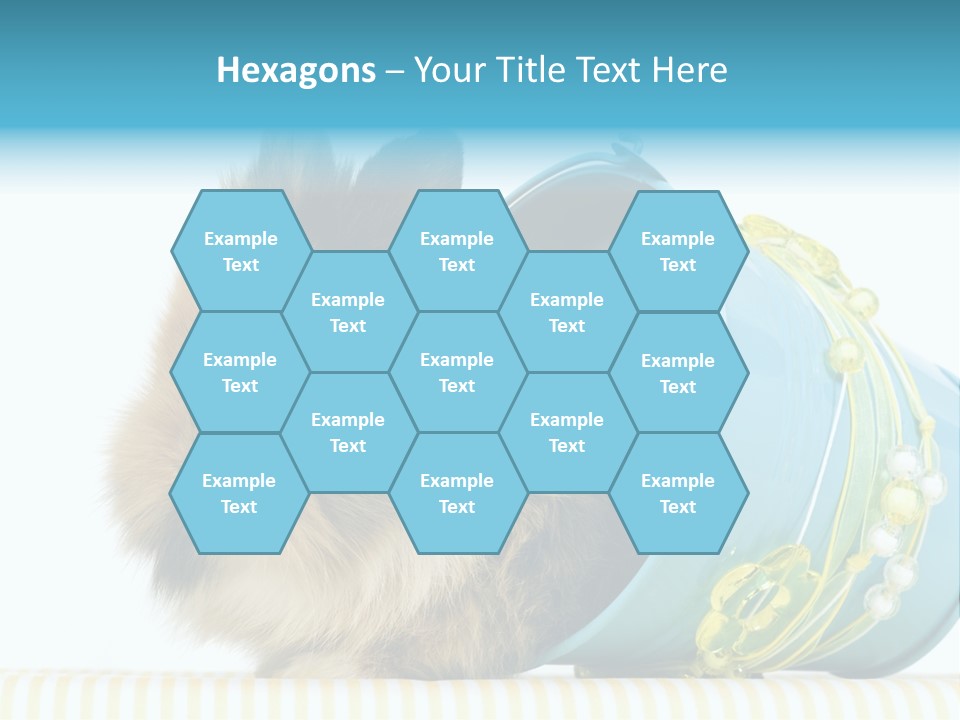 Schlappohren Portrait Studio PowerPoint Template