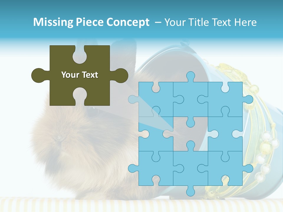 Schlappohren Portrait Studio PowerPoint Template