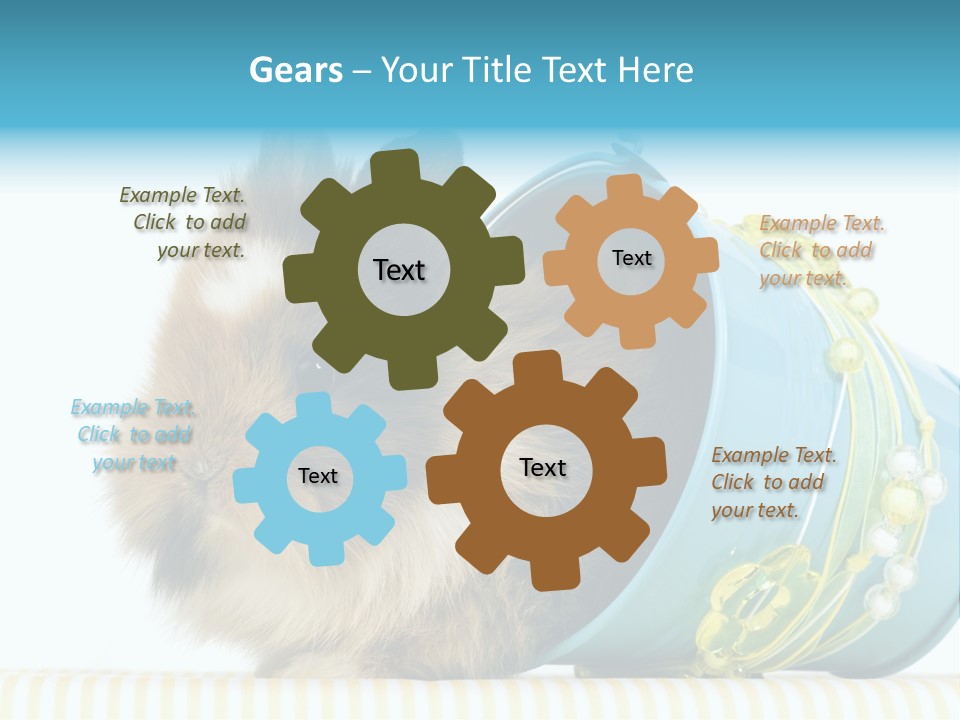 Schlappohren Portrait Studio PowerPoint Template