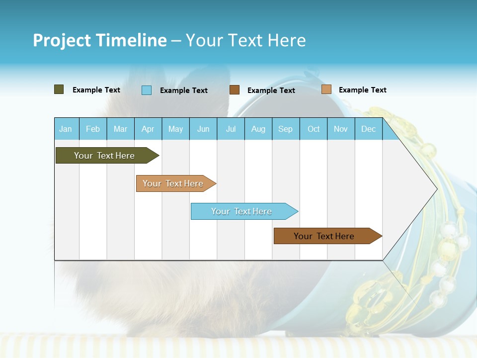 Schlappohren Portrait Studio PowerPoint Template