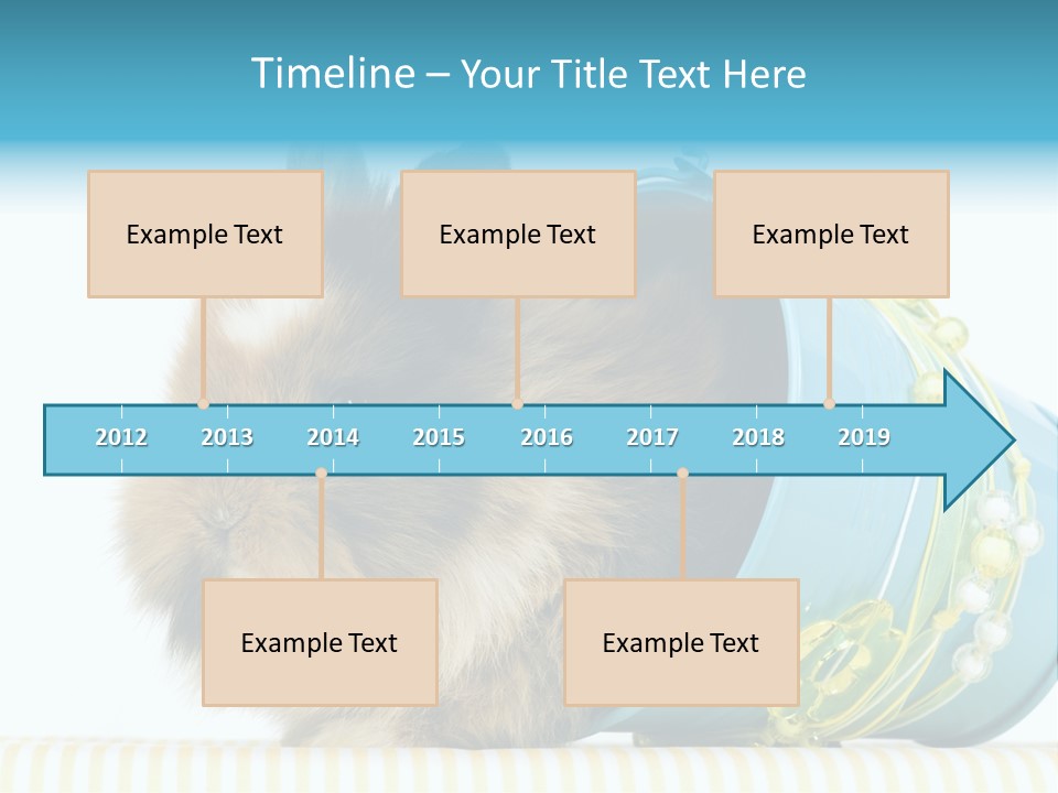 Schlappohren Portrait Studio PowerPoint Template
