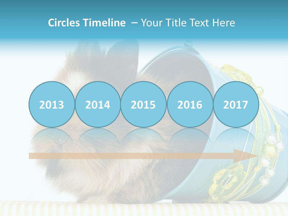 Schlappohren Portrait Studio PowerPoint Template