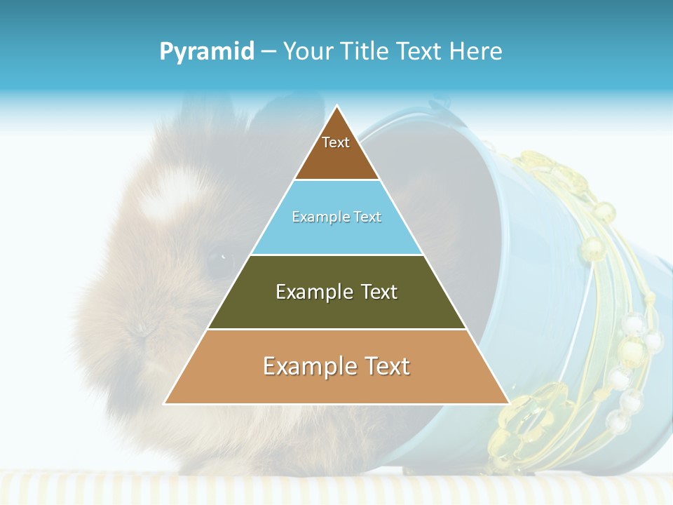 Schlappohren Portrait Studio PowerPoint Template