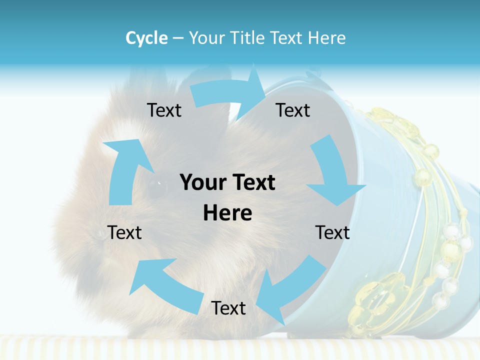 Schlappohren Portrait Studio PowerPoint Template
