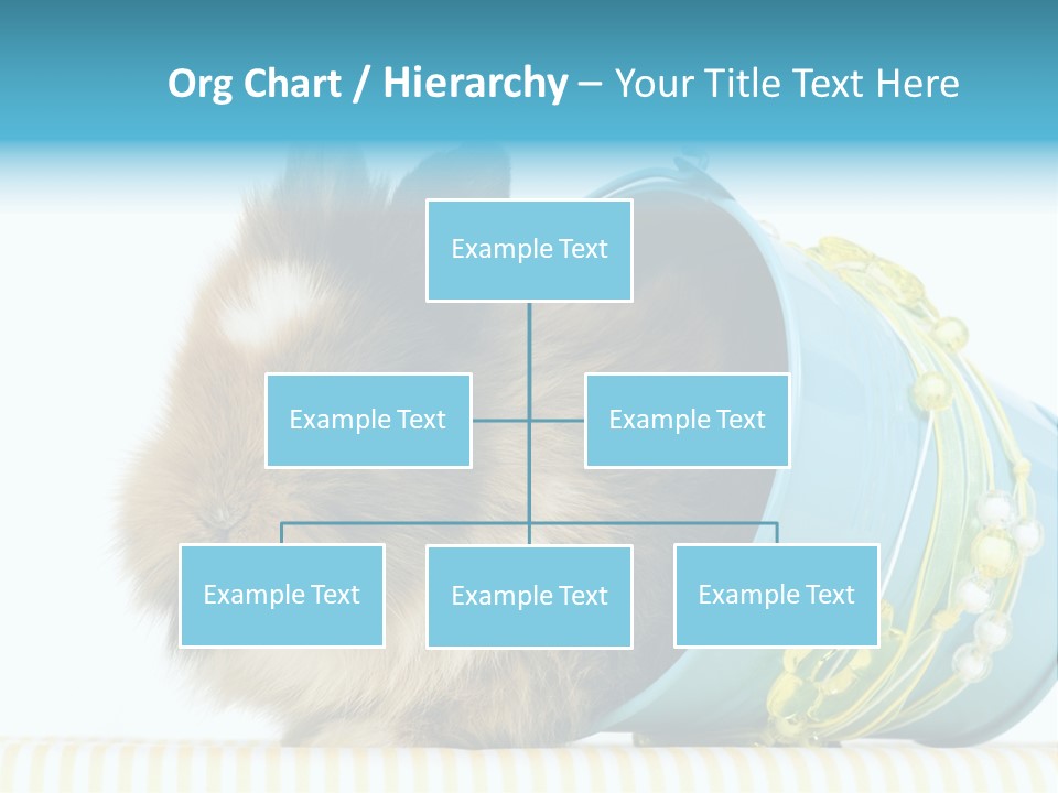 Schlappohren Portrait Studio PowerPoint Template