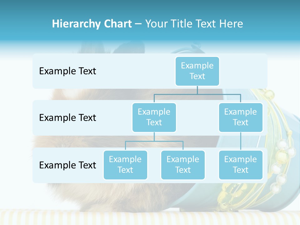 Schlappohren Portrait Studio PowerPoint Template