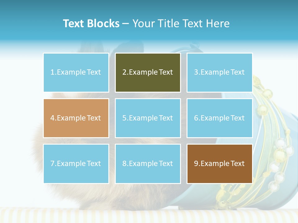 Schlappohren Portrait Studio PowerPoint Template